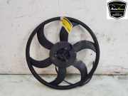 Lüfter 16326937515 BMW 3 serie (E92) Coupé 325i 24V (N53-B30A) 2008-04