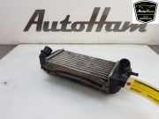 Ladeluftkühler 51855481 Fiat 500 (312) Schrägheck 0.9 TwinAir 85 (Euro 6)) 2011-09