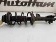 Stoßdämpfer Links Vorne 4160284M00 Suzuki Celerio (LF) Schrägheck 5-drs 1.0 12V (K10B) 2018-06