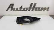 Stoßstangengitter 6J0853665A Seat Ibiza ST (6J8) Kombi 1.2 TDI Ecomotive (CFWA) 2011-01
