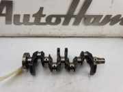 Kurbelwelle NIETAFLEESBAAR Skoda Fabia III Kombi (NJ5) Kombi 5-drs 1.2 TSI 16V Greentech (CJZD) 2017