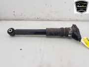 Stoßdämpfer Links Hinten 9831182580 Opel Corsa F (UB/UH/UP) Schrägheck 5-drs 1.2 12V 75 (F12XEL(EB2FD)) 2020
