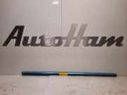 Zierleiste 4N0853959 Audi A8 (D5) Limousine 3.0 V6 24V 60 TFSI e Quattro (EALD) 2020