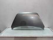 Motorhaube 664001Y010 Kia Picanto (TA) Schrägheck 1.0 12V (G3LA) 2014-01