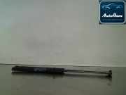 Gasdruckfedern Set Hinten 5Z6827550B Volkswagen Fox (5Z) Schrägheck 1.2 (BMD) 2005 BMD
