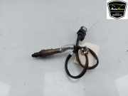 Lambdasonde 8W0906265K Audi RS 4 Avant (B9) Kombi 2.9 V6 TFSI 24V (DECA) 2019