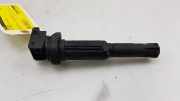 Stift Zündspule 0221504470 BMW 3 serie (E46/4) Limousine 316i 16V (N46-B18A) 2004