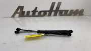 Gasdruckfedern Set Hinten 1S6827550D Volkswagen Up! (121) Schrägheck 1.0 12V 60 (CHYA) 2013-07 CHYA