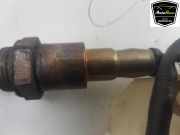 Lambdasonde 11788043677 BMW 5 serie (G30) Limousine 4.4 Competition V8 32V TwinPower Turbo (S63-B44B) 2020-07
