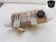 Ausgleichbehälter 103612400 Tesla Model S Liftback 75D (L2S) 2018-05