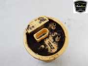 Kraftstoffpumpe Elektrisch 2K0919050A Volkswagen Caddy III (2KA,2KH,2CA,2CH) Van 2.0 TDI DPF (BMM(Euro 4)) 2010-04 BMM(Euro 4)