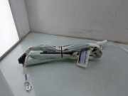 Dachairbag Links 740917714 BMW X5 (G05) SUV xDrive50e 3.0 24V (B58-B30S) 2025-04