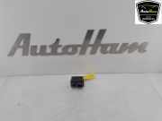 Vorglüh Relais 55229840 Fiat Doblo Cargo (263) Van 1.3 D Multijet (263.A.6000) 2016-03