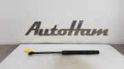 Gasdruckfedern Set Hinten BM51A406A10AE Ford Focus 3 Schrägheck 1.6 TDCi (T1DB) 2011