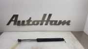 Gasdruckfedern Set Hinten 5G6827550C Volkswagen Golf VII (AUA) Schrägheck 1.6 TDI BlueMotion 16V (CRKB/CXXB) 2015-06 CRKB/CXXB