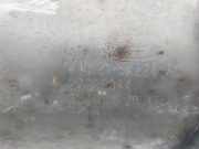 Katalysator KK215K224AC Ford Transit Custom Van 2.0 TDCi 16V Eco Blue 170 (YNFS) 2021