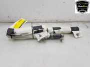 Dachairbag Links 103675700H Tesla Model X SUV 75D (A0003K8775D) 2018-03