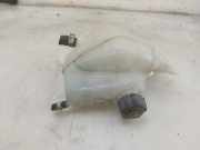 Ausgleichbehälter NIETAFLEESBAAR Nissan Qashqai (J11) SUV 1.3 DIG-T 160 16V (HR13DDT) 2019-07