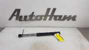 Gasdruckfedern Set Hinten 1K88275504S Volkswagen Scirocco (137/13AD) Schrägheck 3-drs 1.4 TSI 122 16V (CAXA) 2010 CAXA