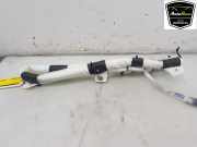 Dachairbag Links 103675600F Tesla Model X SUV 75D (A0003K8775D) 2018-12