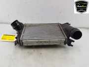 Ladeluftkühler 144614ED0A Renault Megane IV (RFBB) Schrägheck 5-drs 1.2 Energy TCE 100 (H5F-408(H5F-F4)) 2017-08