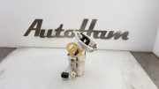 Kraftstoffpumpe Elektrisch 16117243972 BMW 3 serie (F30) Limousine 318d 2.0 16V (N47-D20C) 2014