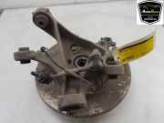 Achsschenkel Links Hinten 104441100G Tesla Model 3 Limousine Long Range AWD 75 kWh (3D7) 2020-03