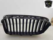 Grill 51137200728 BMW 5 serie (F10) Limousine 520i 16V (N20-B20B) 2012-08