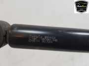 Sto?d?mpfer Rechts Hinten C1BC18080MB Ford Fiesta 6 (JA8) Schr?gheck 1.0 SCI 12V 80 (P4JD) 2013-06