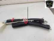 Dachairbag Rechts 52025700 Alfa Romeo MiTo (955) Schrägheck 1.4 16V (955.A.1000) 2009-09