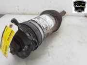 Stoßdämpfer Links Hinten 106746125C Tesla Model S Liftback 75D (L2S) 2018-05