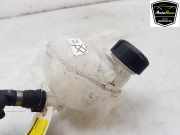 Ausgleichbehälter 9824198680 Peugeot 208 II (UB/UH/UP) Schrägheck 5-drs e-208 (A0001E2Ge-208) 2022