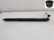 Heckklappenmotor 51249465654 BMW X2 (F39) SUV sDrive 20i 2.0 16V Twin Power Turbo (B48-A20A) 2018