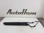Gasdruckfedern Set Hinten 51247294469 BMW X5 (F15) SUV xDrive 35d 3.0 24V (N57-D30A) 2014