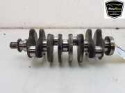 Kurbelwelle 71779133 Fiat Punto III (199) Schrägheck 1.3 JTD Multijet 80 16V (199.B.8000) 2015-12