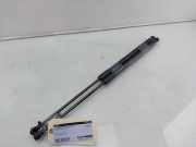 Gasdruckfedern Set Hinten 5H6827550D Volkswagen Golf VIII (CD1) Schrägheck 2.0 TSI R 16V 4Motion (DSFF) 2021-03 DSFF