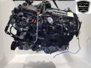 Motor M6P36006AA Land + Range Rover Range Rover V (LK) Geländewagen 3.0 V6 P510e (TZ-269-X-SY-A) 2023-01