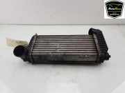 Ladeluftkühler BV619L440CK Ford Transit Connect (PJ2) Van 1.6 TDCi 16V 75 (UBGA(Euro 5)) 2014-04
