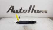Gasdruckfedern Set Hinten 7210557 BMW 5 serie Touring (F11) Kombi 520d 16V (N47-D20C) 2012-08