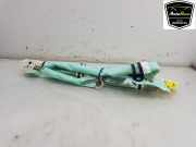 Dachairbag Links DT1117042D95AC Ford Transit Connect (PJ2) Van 1.6 TDCi 16V 75 (UBGA(Euro 5)) 2014-04