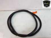 Türgummis Links Hinten 5H4867913A9B9 Volkswagen Golf VIII (CD1) Schrägheck 1.5 TSI 16V (DPCA) 2021 DPCA