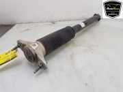 Stoßdämpfer Links Hinten 104446101E Tesla Model 3 Limousine Standard RWD Plus, Long Range RWD (3D5) 2023