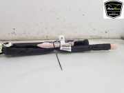 Dachairbag Links 9824240880 Opel Grandland (X) SUV 1.2 Turbo 12V (F12XHT(EB2ADTS)) 2019