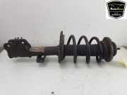 Stoßdämpfer Links Vorne 7LA413031M Volkswagen Transporter T6 Van 2.0 TDI 150 (DNAA) 2021-09 DNAA