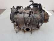 Zylinderkopf 04C103064D Volkswagen Polo VI (AW1) Schrägheck 5-drs 1.0 TSI 12V (DKLA) 2019-04 DKLA