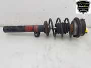 Stoßdämpfer Rechts Vorne 31316768916 BMW 1 serie (E87/87N) Schrägheck 5-drs 120i 16V (N46-B20C) 2004-10