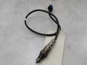 Lambdasonde LX619G444BB Ford Kuga III (DFK) SUV 2.5 PHEV 16V (BGDA) 2023-06