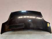 Motorhaube 93160790 Renault Trafic New (FL) Van 1.9 dCi 100 16V (F9Q-760) 2004-02