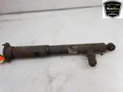 Stoßdämpfer Rechts Hinten A2073203230 Mercedes-Benz E (R207) Cabrio E-350 CDI V6 24V (OM642.836) 2010-04