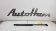 Gasdruckfedern Set Hinten 8A61A406A10AC Ford Fiesta 6 (JA8) Schrägheck 1.6 SCTi ST 16V (JTJB) 2016